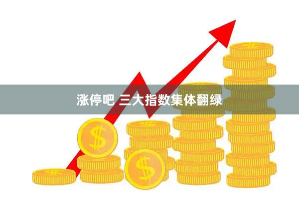 涨停吧 三大指数集体翻绿