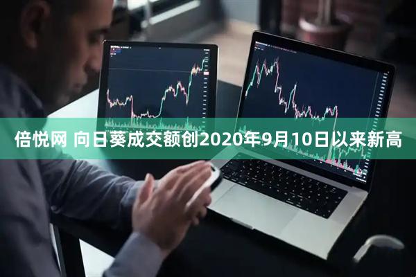 倍悦网 向日葵成交额创2020年9月10日以来新高