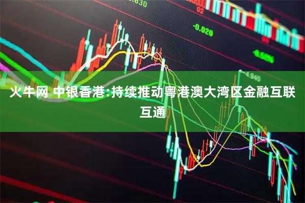 火牛网 中银香港:持续推动粤港澳大湾区金融互联互通