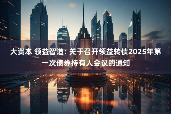 大资本 领益智造: 关于召开领益转债2025年第一次债券持有人会议的通知