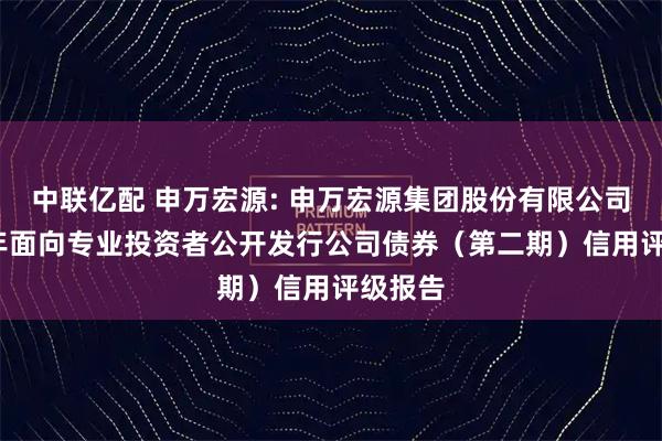 中联亿配 申万宏源: 申万宏源集团股份有限公司2025年面向专业投资者公开发行公司债券（第二期）信用评级报告