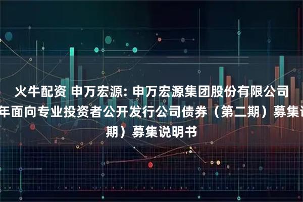 火牛配资 申万宏源: 申万宏源集团股份有限公司2025年面向专业投资者公开发行公司债券（第二期）募集说明书