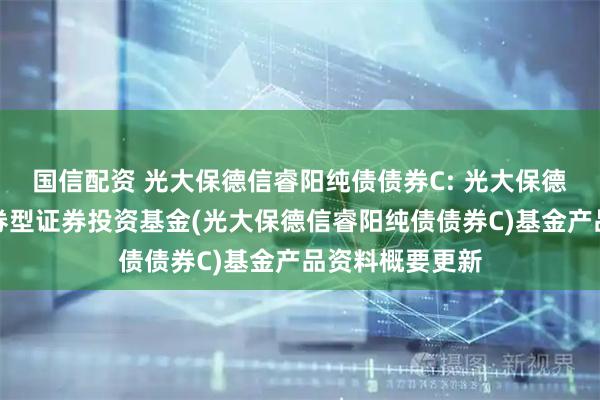 国信配资 光大保德信睿阳纯债债券C: 光大保德信睿阳纯债债券型证券投资基金(光大保德信睿阳纯债债券C)基金产品资料概要更新